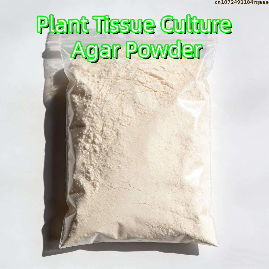 Agar Tissue Culture - Bubuk Agar Kultur Jaringan Tanaman Premium