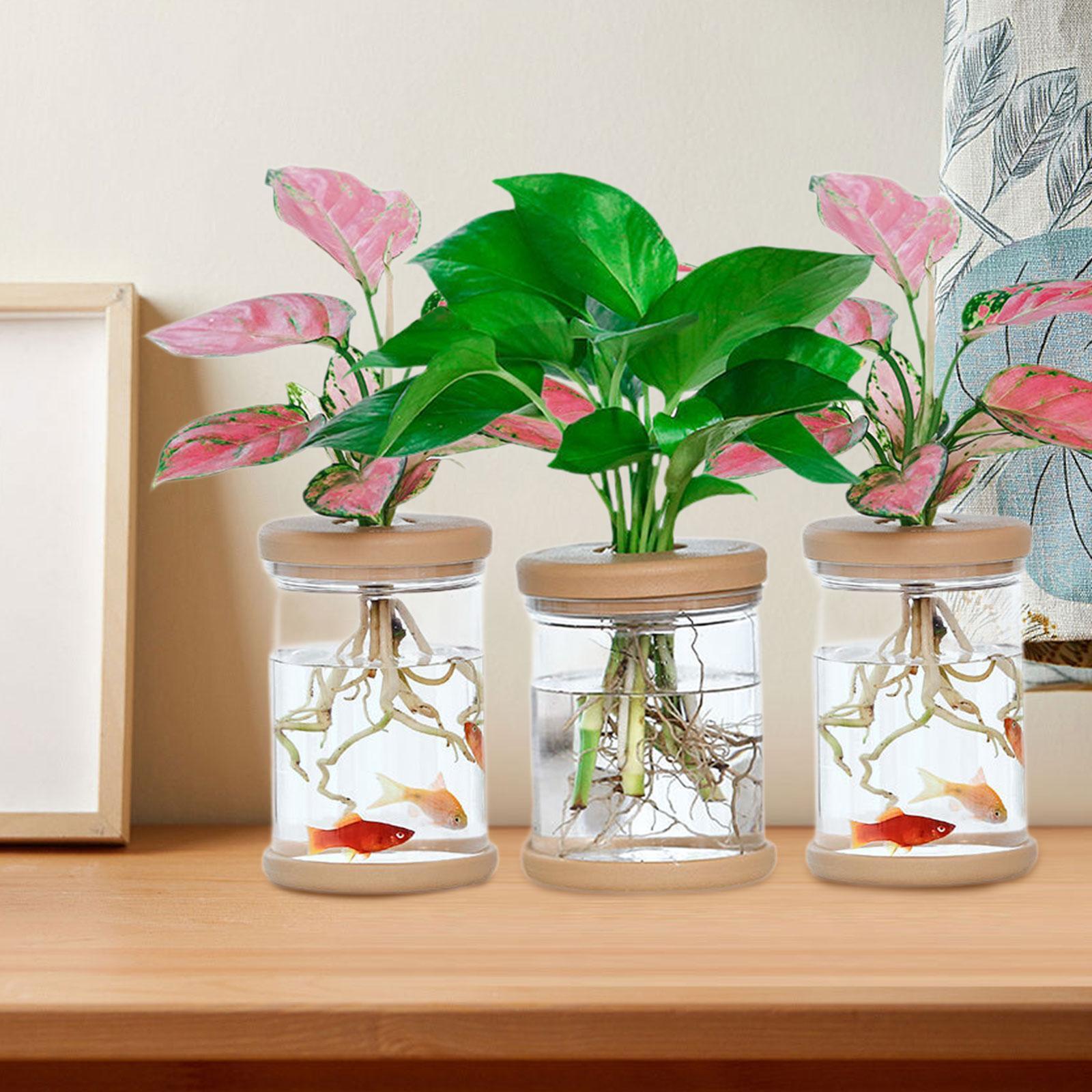 Propagation Station Vase - 3 Buah Vas Bunga Hidroponik Vas