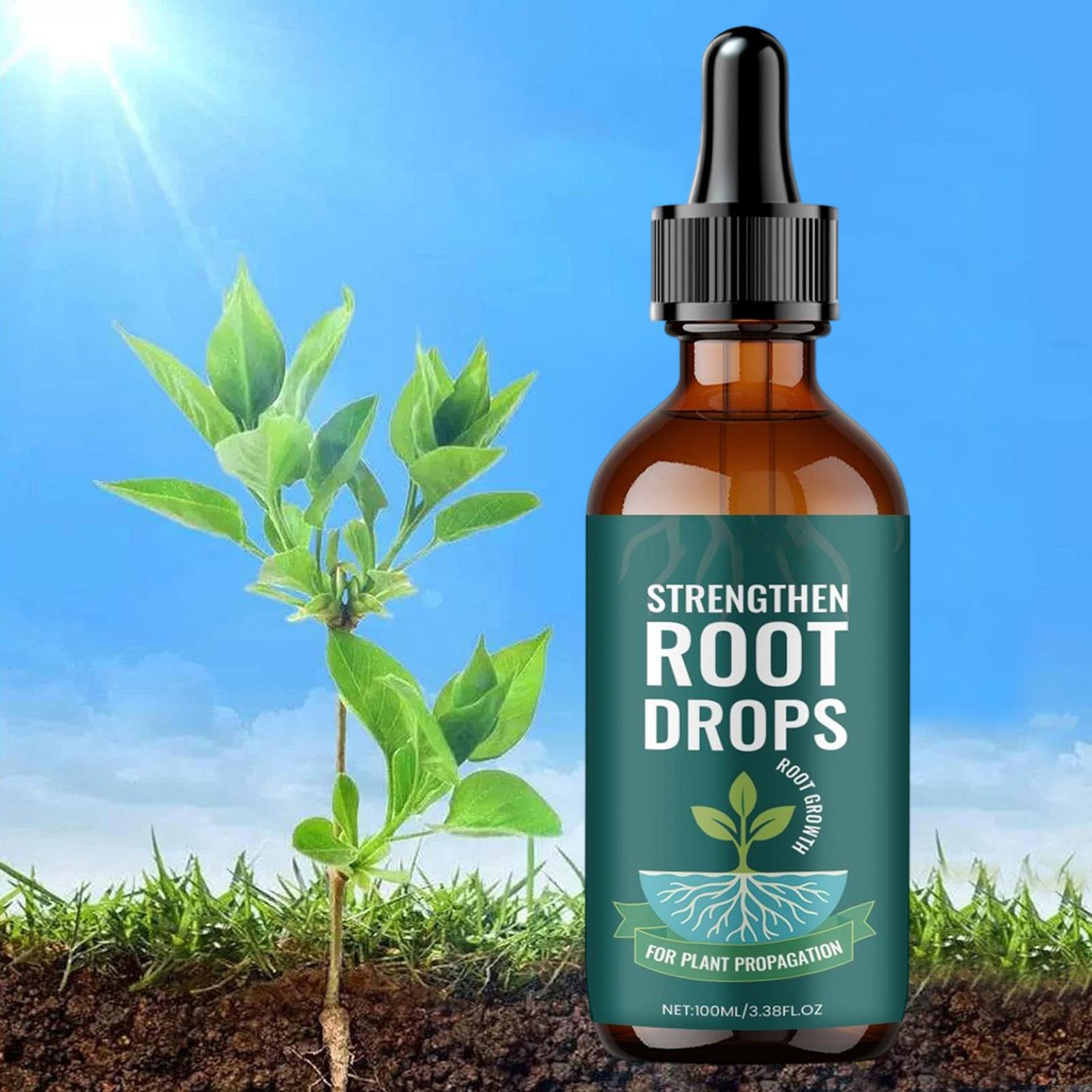 Root Stimulator Liquid - 100ml Cairan Perangsang Pertumbuhan Akar Tanaman,