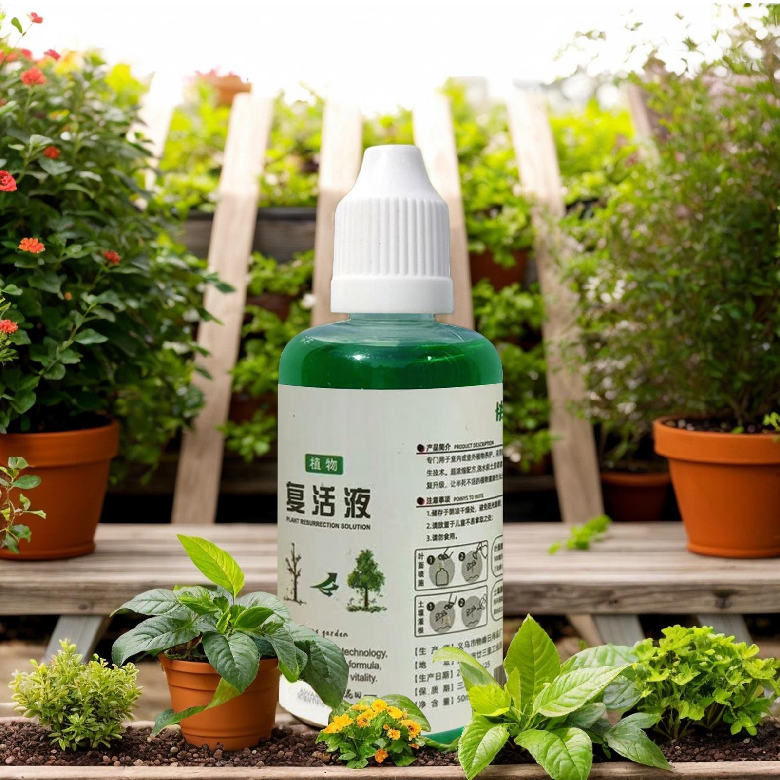 Pupuk Nutrisi Akar untuk Tanam - Root Stimulator Liquid ulasan dan harga