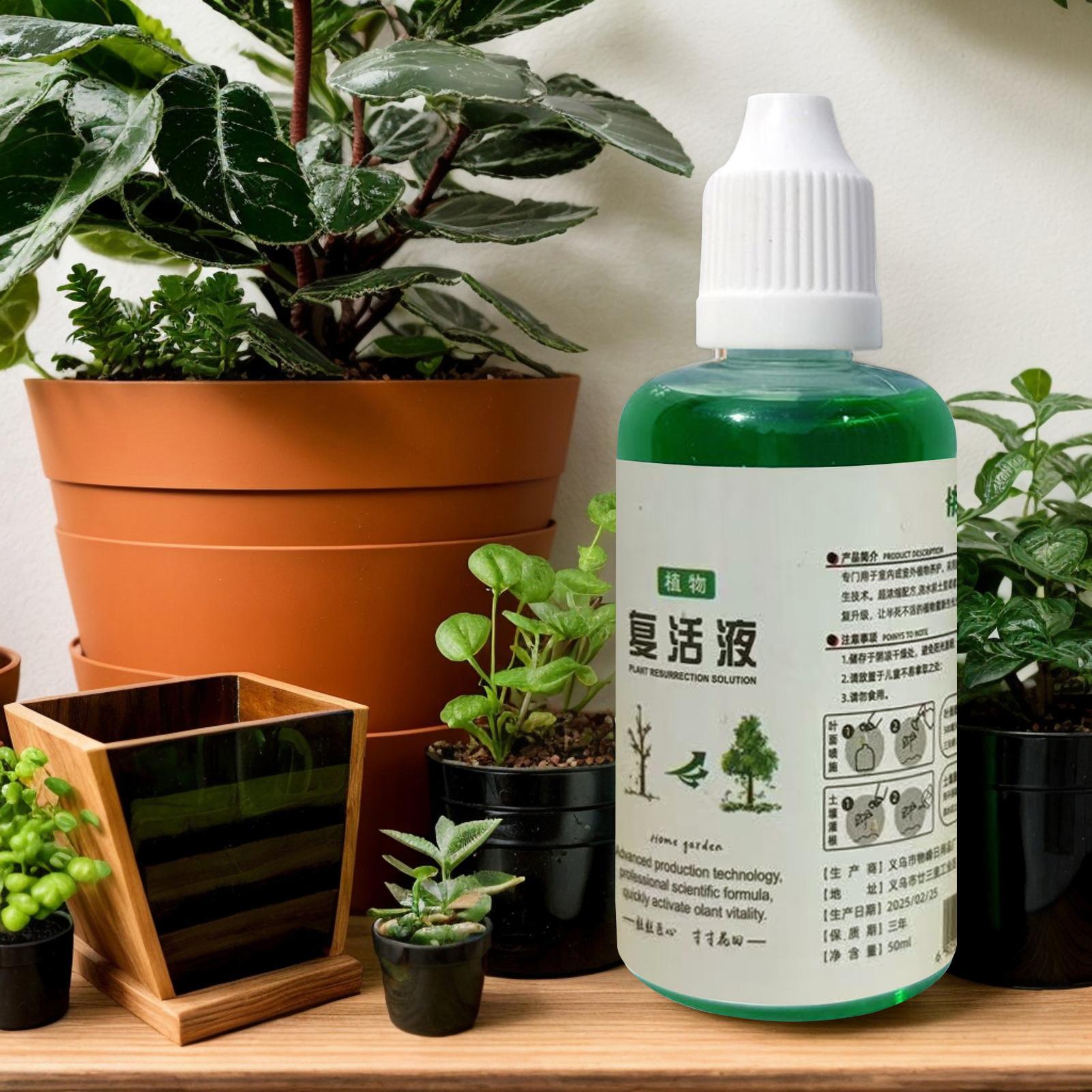 Pupuk Nutrisi Akar untuk Tanam - Root Stimulator Liquid ulasan dan harga