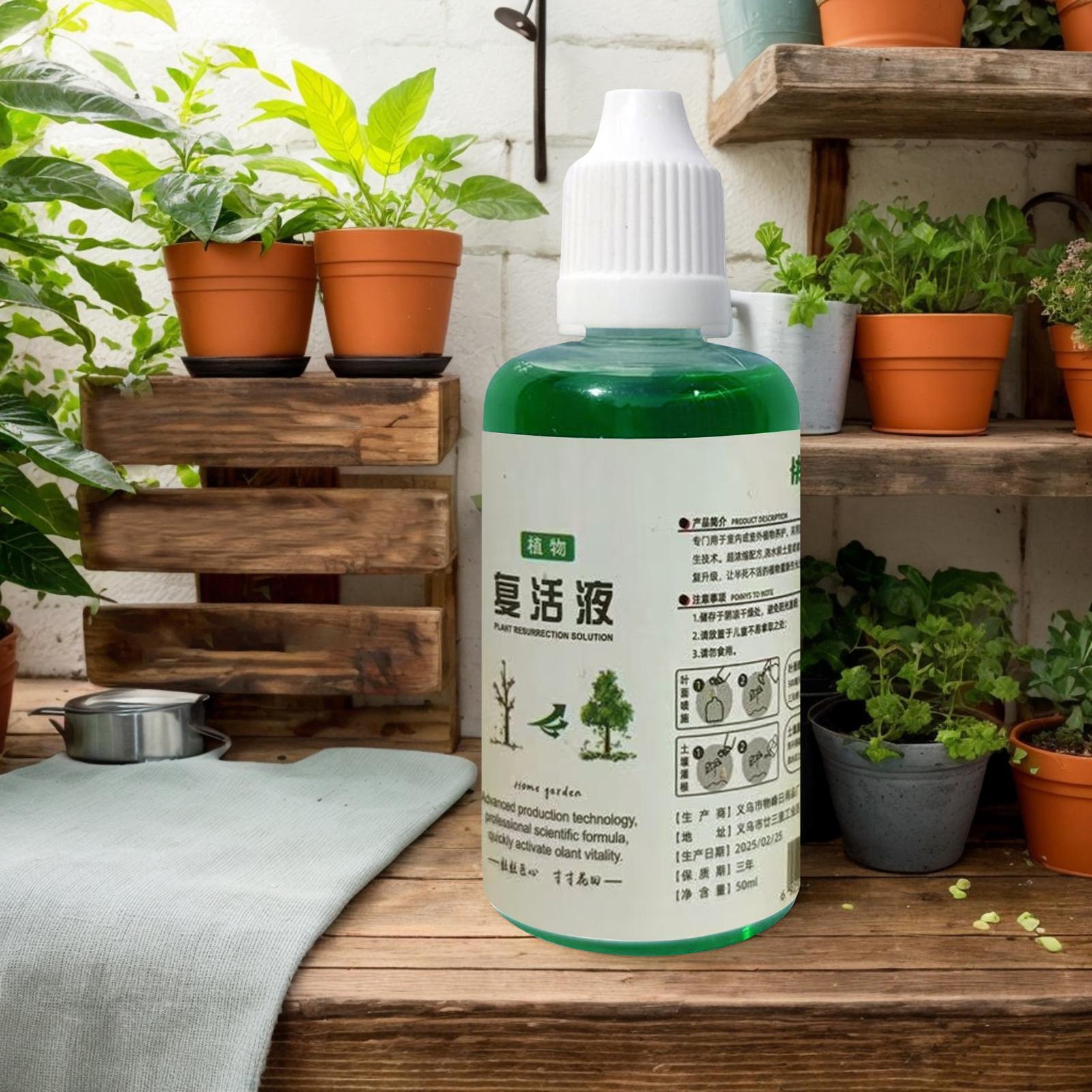 Pupuk Nutrisi Akar untuk Tanam - Root Stimulator Liquid ulasan dan harga