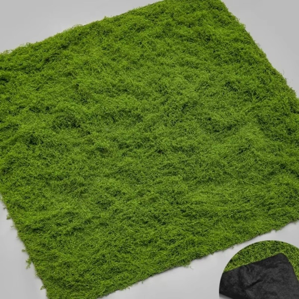 Karpet Rumput Buatan DIY Tahan - Sphagnum Moss Dry ulasan dan harga