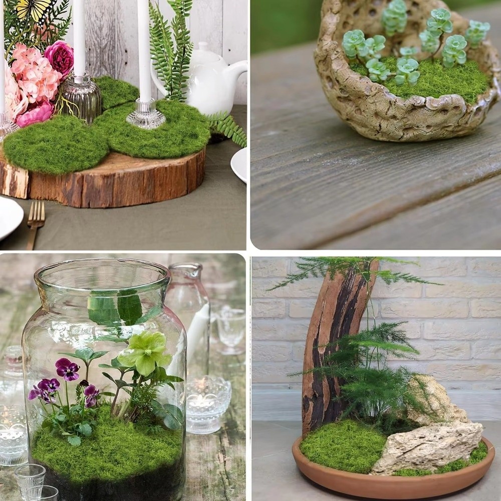 Karpet Rumput Buatan DIY Tahan - Sphagnum Moss Dry ulasan dan harga
