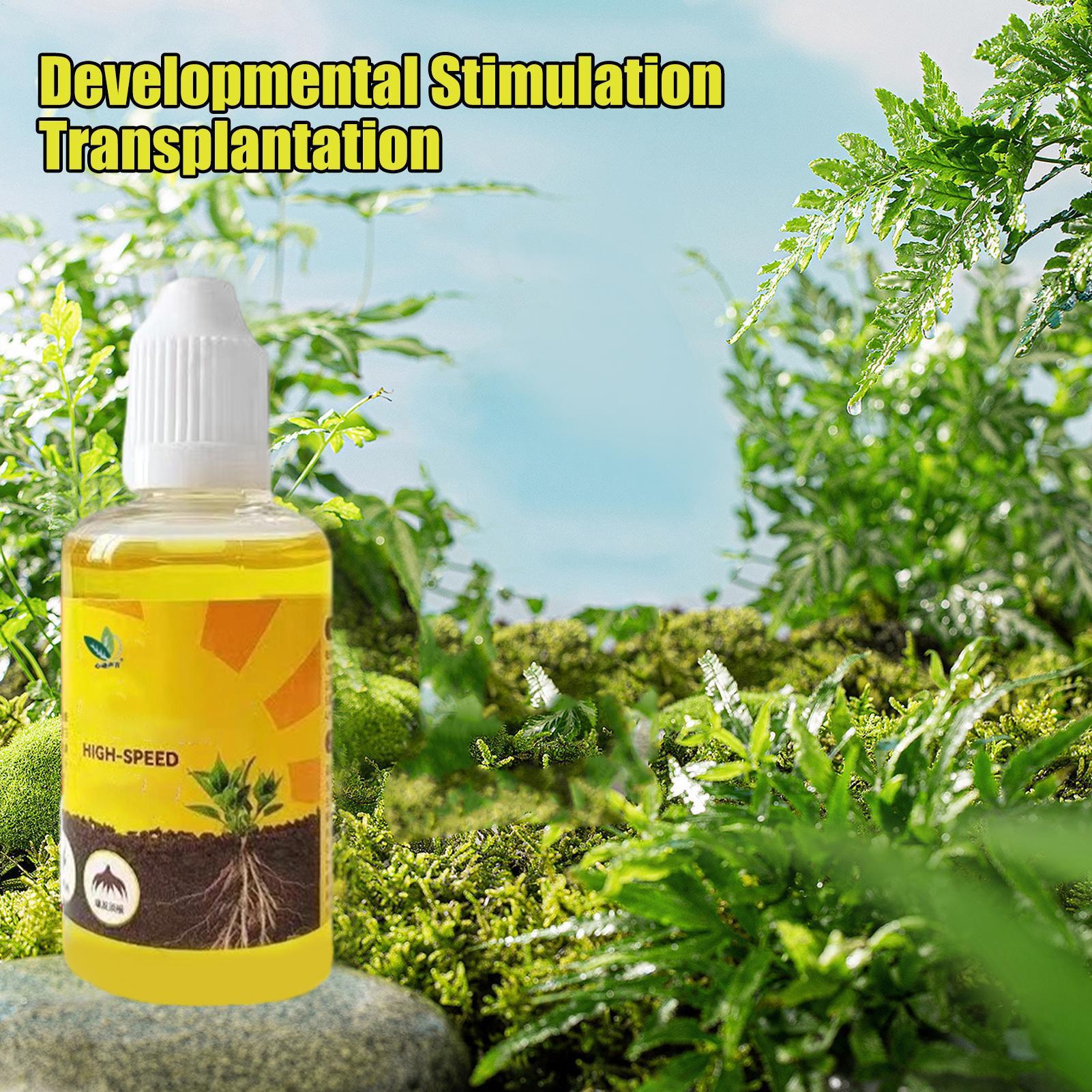 50Ml Stimulator Perakaran Tana - Root Stimulator Liquid ulasan dan harga