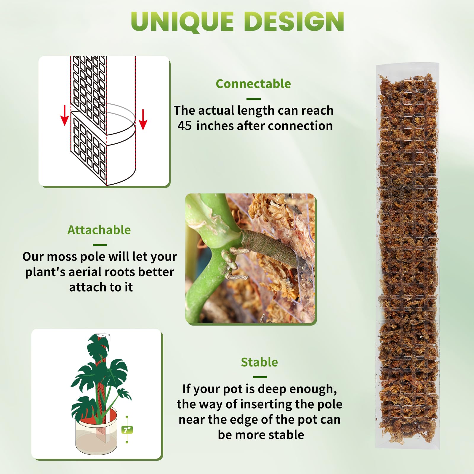 24/36/48 inci tanaman memanjat - Sphagnum Moss Dry ulasan dan harga