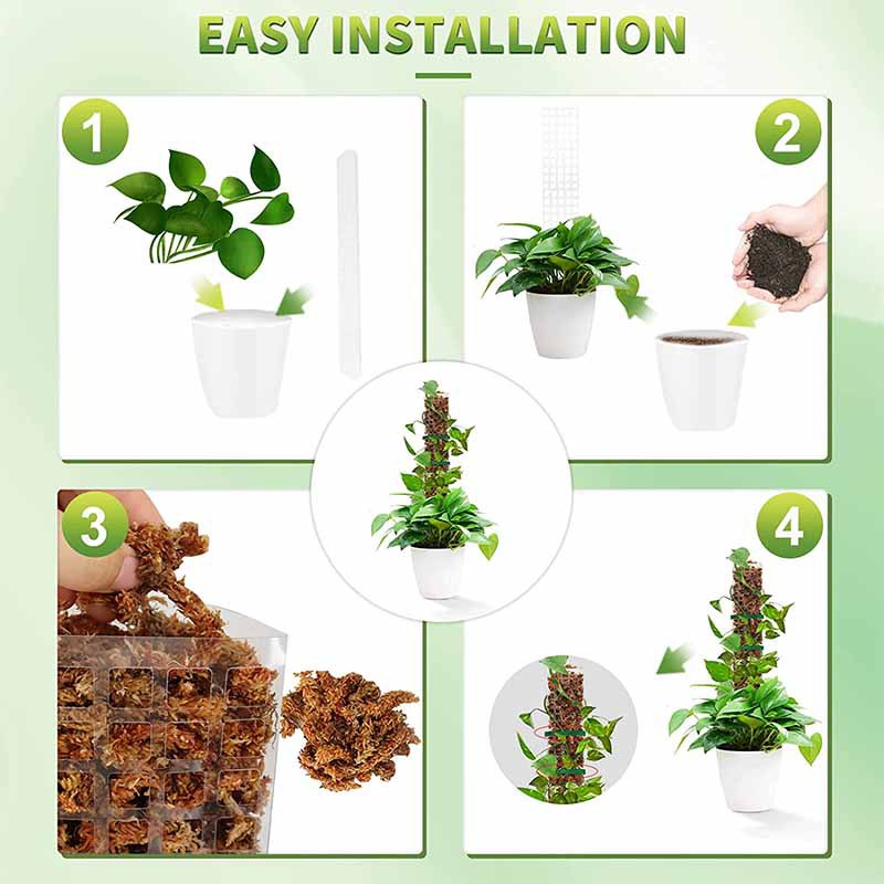24/36/48 inci tanaman memanjat - Sphagnum Moss Dry ulasan dan harga