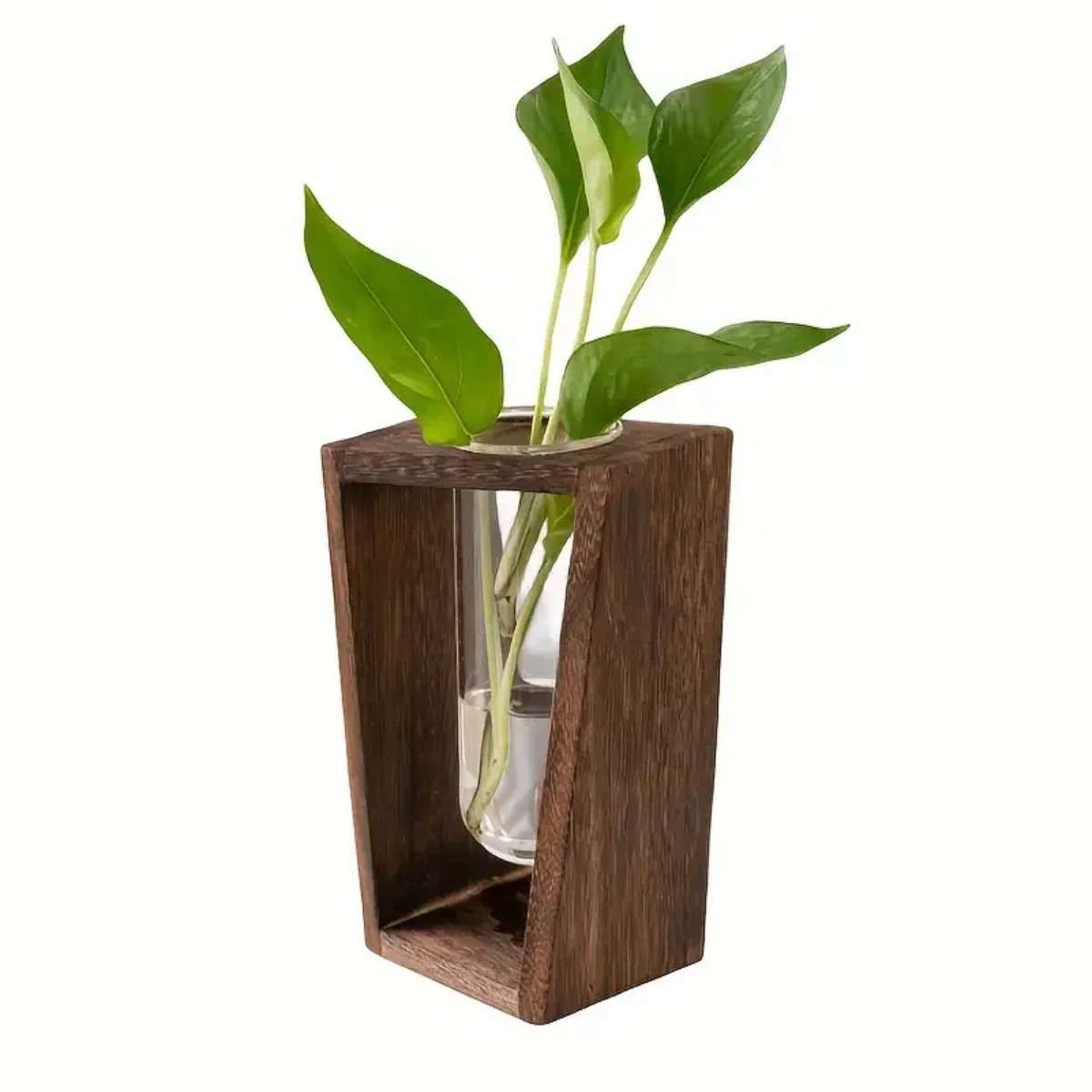 Stasiun Perbanyakan Tanaman Va - Propagation Station Vase ulasan dan harga