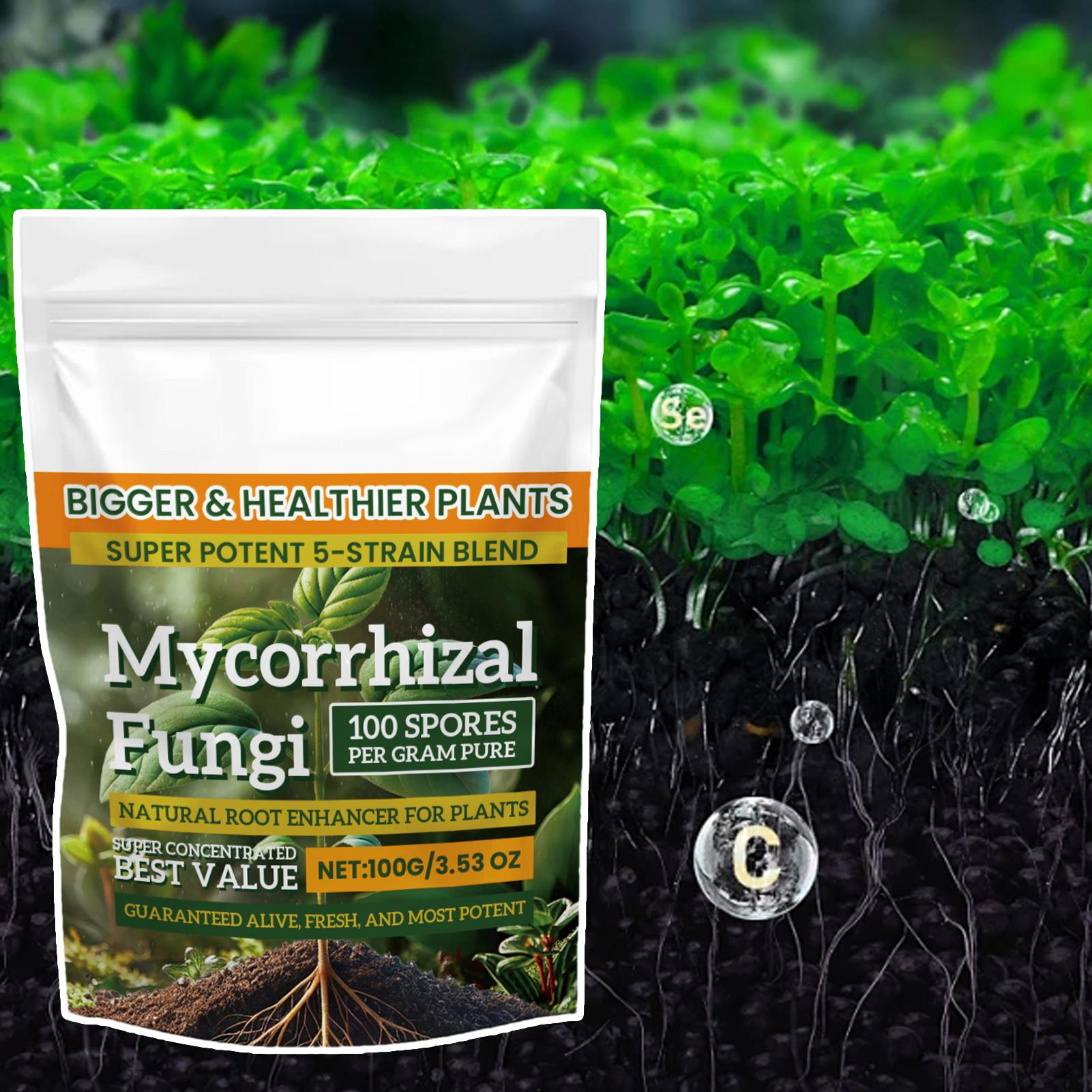 Bubuk Nutrisi Tanaman Baru 100 - Rooting Hormone Powder ulasan dan harga