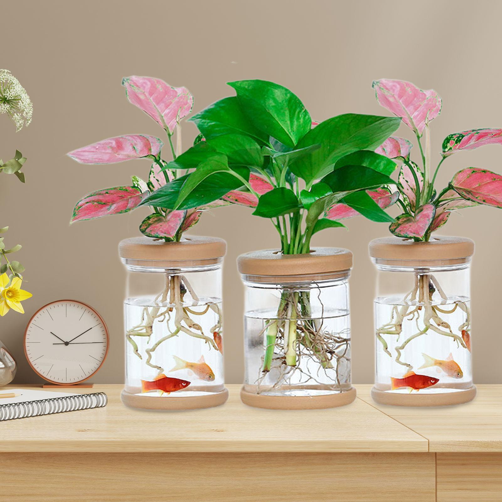 3 Buah Vas Bunga Hidroponik Va - Propagation Station Vase ulasan dan harga