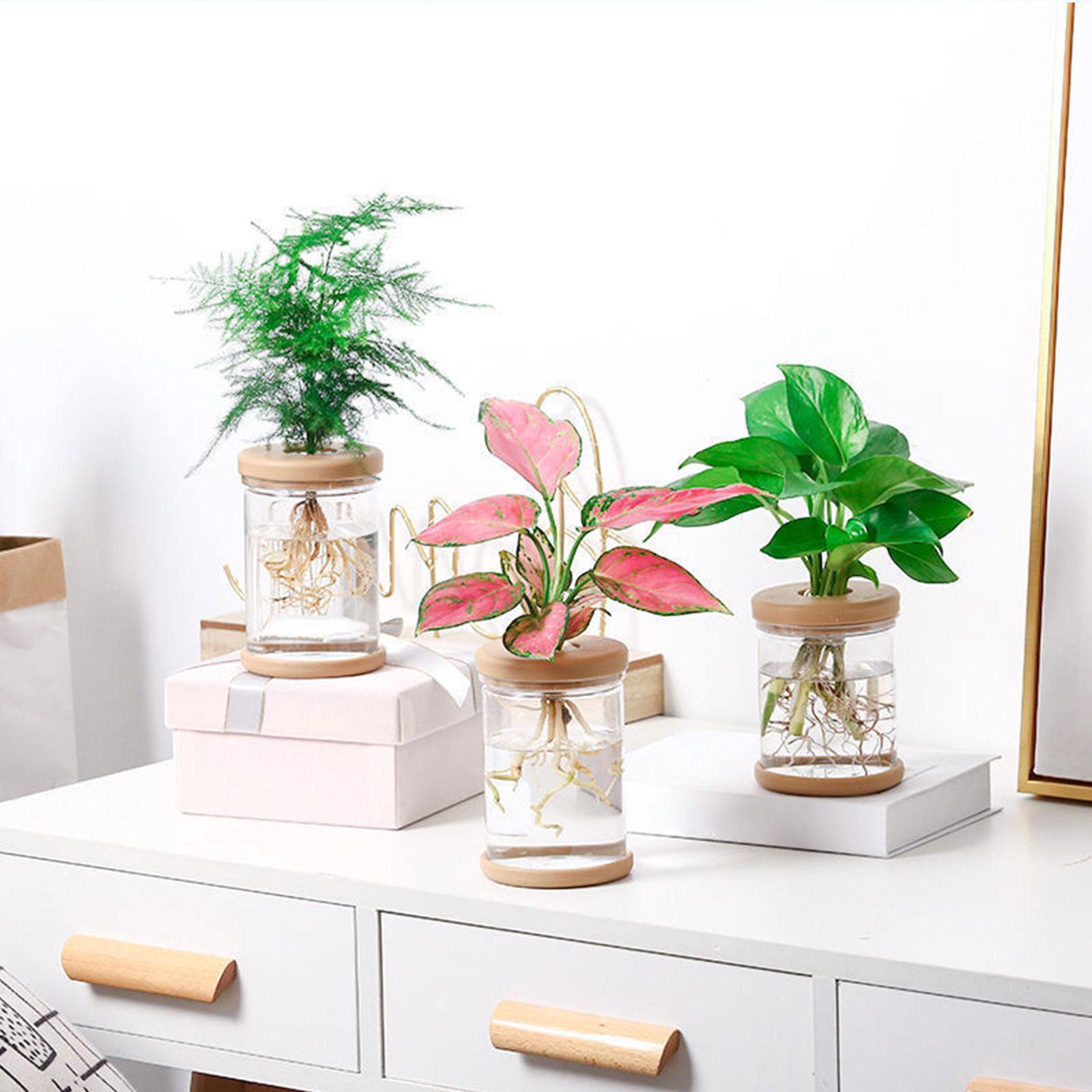 3 Buah Vas Bunga Hidroponik Va - Propagation Station Vase ulasan dan harga