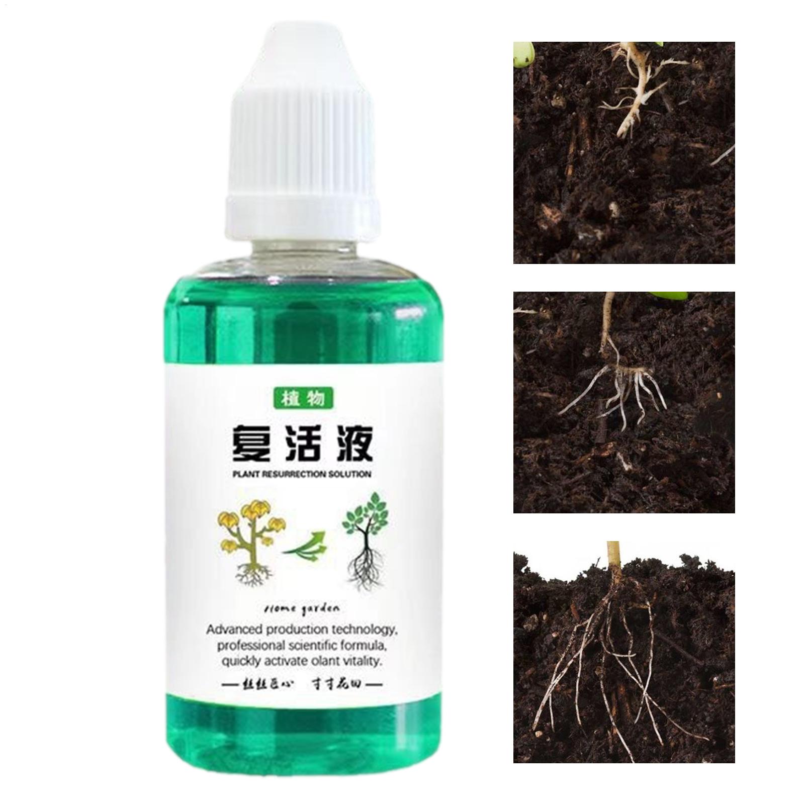 Stimulator Akar untuk Tanaman  - Root Stimulator Liquid ulasan dan harga