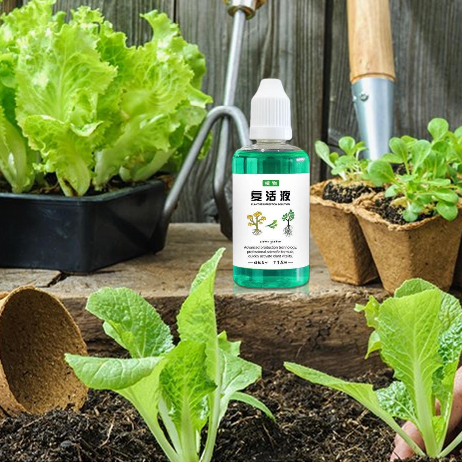 Stimulator Akar untuk Tanaman  - Root Stimulator Liquid ulasan dan harga