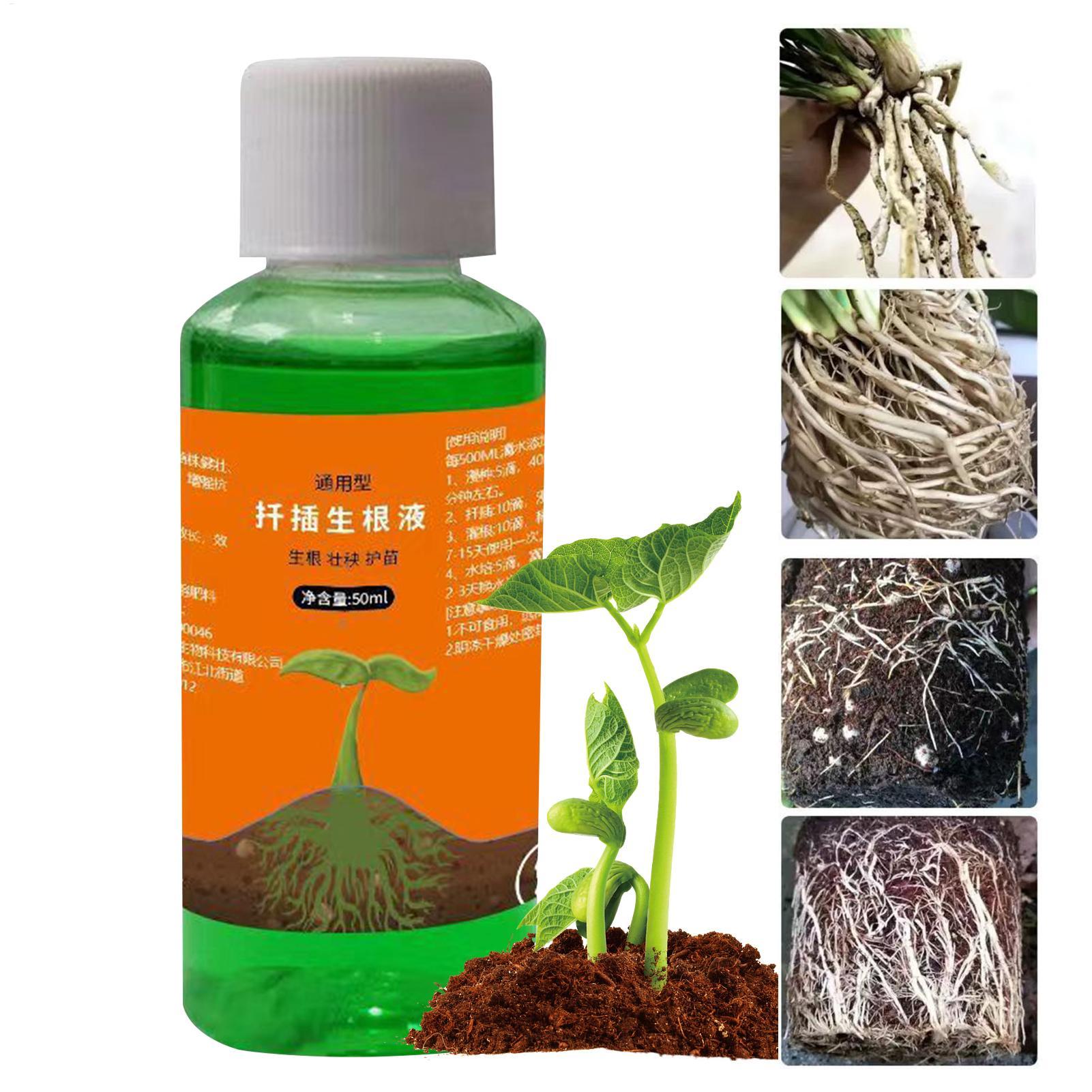50ml Larutan Nutrisi Transplan - Root Stimulator Liquid ulasan dan harga