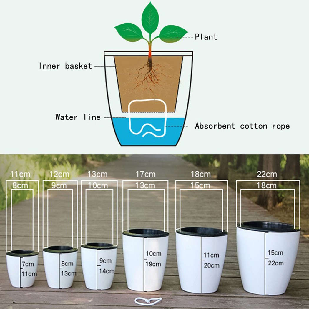 Pot tanaman bunga imitasi, Pot - Self Watering Insert ulasan dan harga
