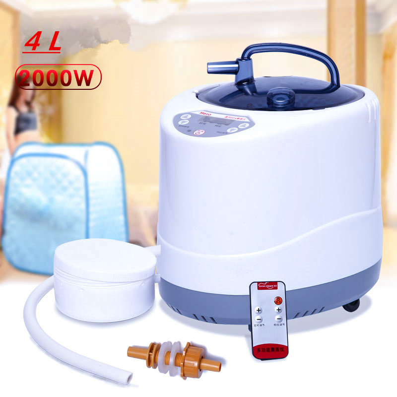 Generator Uap 220V/110V EU US  - Self Watering Insert ulasan dan harga