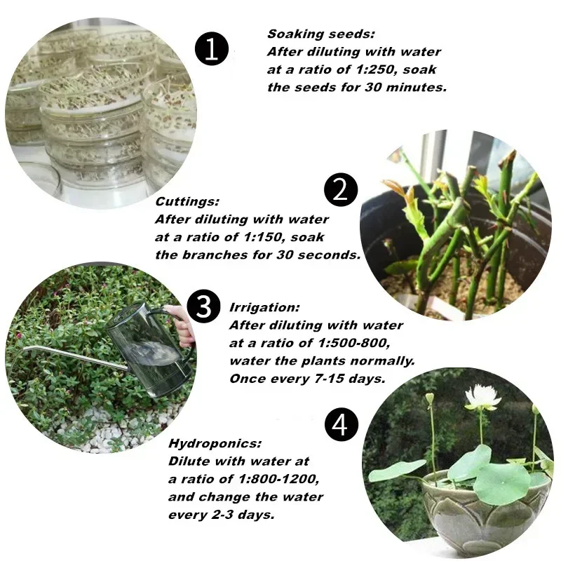 10g regulator bubuk hormon aka - Rooting Hormone Powder ulasan dan harga