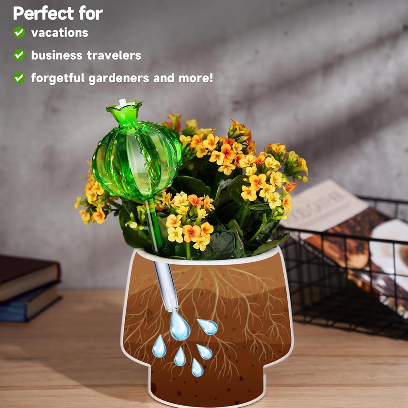 Penyiram Tanaman Otomatis 3 Bu - Self Watering Insert ulasan dan harga