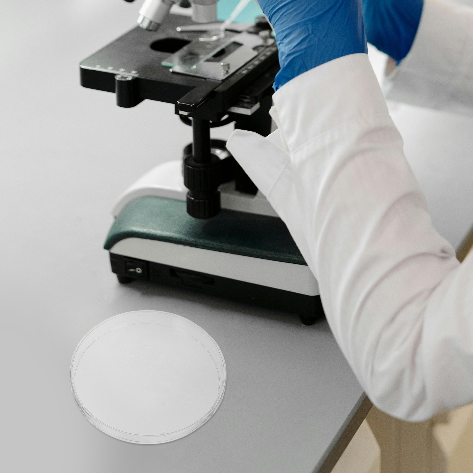 10 Buah Cawan Petri Laboratori - Agar Tissue Culture ulasan dan harga