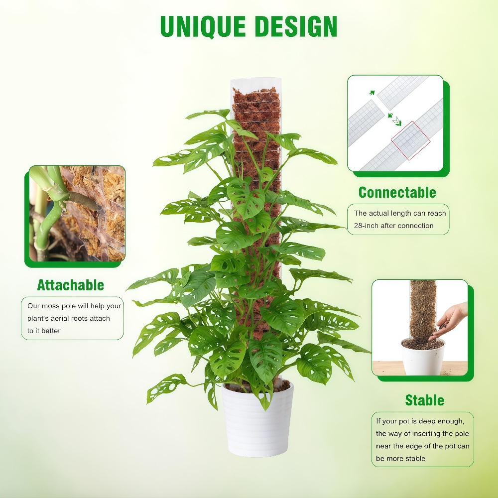 Penyangga Tanaman Plastik Moss - Sphagnum Moss Dry ulasan dan harga